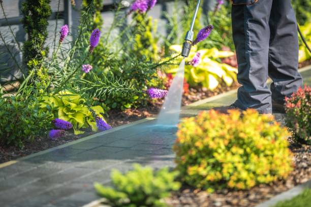 Best Sidewalk and Walkway Cleaning  in Port Jervis, NY